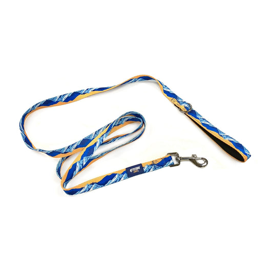 Nylon 6 ft. Dog Leash