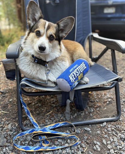 Dog sitting on a folding chair with a blue and white toy, surrounded by outdoor elements.