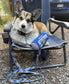 Keystone Bite Dog Toy