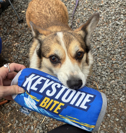 Dog holding a blue 'Keystone Bite' toy in its mouth on a gravel surface.