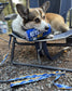 Keystone Bite Dog Toy